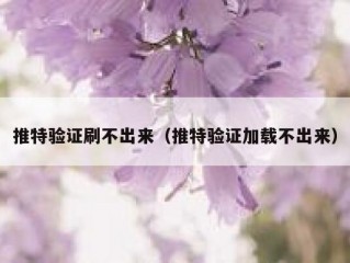 推特验证刷不出来（推特验证加载不出来）