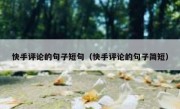 快手评论的句子短句（快手评论的句子简短）