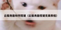 云服务器如何搭建（云服务器搭建完美教程）