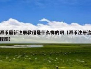 派币最新注册教程是什么样的啊（派币注册流程图）