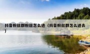 抖音粉丝群粉丝怎么进（抖音粉丝群怎么进去）