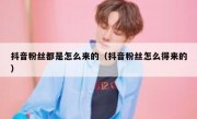 抖音粉丝都是怎么来的（抖音粉丝怎么得来的）