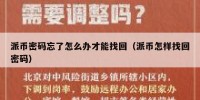 派币密码忘了怎么办才能找回（派币怎样找回密码）