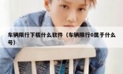 车辆限行下载什么软件（车辆限行0属于什么号）