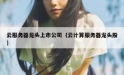云服务器龙头上市公司（云计算服务器龙头股）