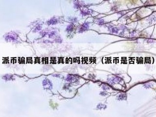 派币骗局真相是真的吗视频（派币是否骗局）