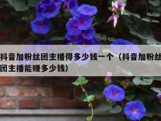 抖音加粉丝团主播得多少钱一个（抖音加粉丝团主播能赚多少钱）