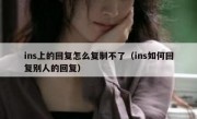 ins上的回复怎么复制不了（ins如何回复别人的回复）