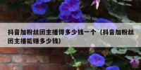 抖音加粉丝团主播得多少钱一个（抖音加粉丝团主播能赚多少钱）
