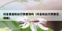 抖音里面粉丝灯牌要钱吗（抖音粉丝灯牌要花钱嘛）