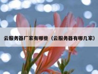 云服务器厂家有哪些（云服务器有哪几家）