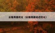 云服务器优化（云服务器延迟优化）