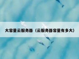 大容量云服务器（云服务器容量有多大）
