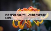 天津限号区域图2021（天津限号区域图2021年）