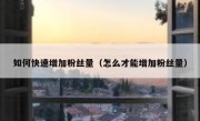 如何快速增加粉丝量（怎么才能增加粉丝量）