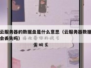 云服务器的数据盘是什么意思（云服务器数据会丢失吗）