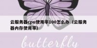 云服务器cpu使用率100怎么办（云服务器内存使用率）