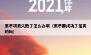 派币项目失败了怎么办啊（派币要成功了是真的吗）