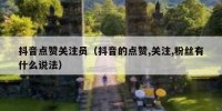 抖音点赞关注员（抖音的点赞,关注,粉丝有什么说法）