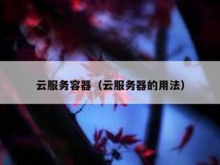 云服务容器（云服务器的用法）