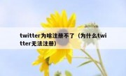 twitter为啥注册不了（为什么twitter无法注册）
