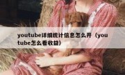 youtube详细统计信息怎么开（youtube怎么看收益）