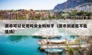 派币可以兑现吗安全吗知乎（派币到底能不能值钱）