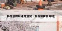 抖加加粉丝还是加赞（抖音加粉有用吗）