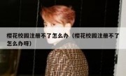 樱花校园注册不了怎么办（樱花校园注册不了怎么办呀）