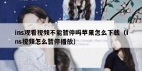 ins观看视频不能暂停吗苹果怎么下载（ins视频怎么暂停播放）