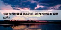 抖音加粉丝赚钱是真的吗（抖加粉丝是有效粉丝吗）