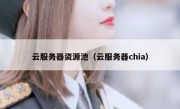 云服务器资源池（云服务器chia）