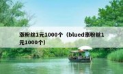 涨粉丝1元1000个（blued涨粉丝1元1000个）