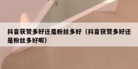抖音获赞多好还是粉丝多好（抖音获赞多好还是粉丝多好呢）