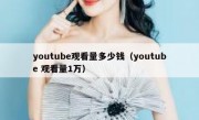 youtube观看量多少钱（youtube 观看量1万）