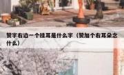 赞字右边一个挂耳是什么字（赞加个右耳朵念什么）
