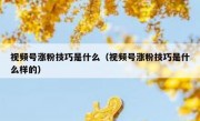 视频号涨粉技巧是什么（视频号涨粉技巧是什么样的）