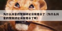 为什么抖音的赞和评论没有提示了（为什么抖音的赞和评论没有提示了呢）
