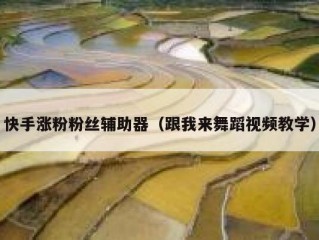 快手涨粉粉丝辅助器（跟我来舞蹈视频教学）