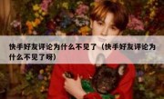 快手好友评论为什么不见了（快手好友评论为什么不见了呀）