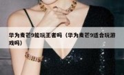 华为麦芒9能玩王者吗（华为麦芒9适合玩游戏吗）