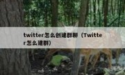 twitter怎么创建群聊（Twitter怎么建群）