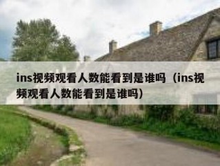 ins视频观看人数能看到是谁吗（ins视频观看人数能看到是谁吗）