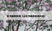 脸书最新新闻（小红书最新新闻内容）