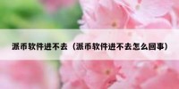 派币软件进不去（派币软件进不去怎么回事）