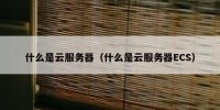 什么是云服务器（什么是云服务器ECS）