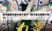 限号是限车牌中哪个数字（限号看车牌哪个数字）