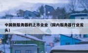 中国做服务器的上市企业（国内服务器行业龙头）