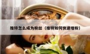 推特怎么成为粉丝（推特如何快速增粉）