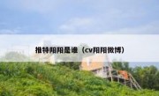 推特阳阳是谁（cv阳阳微博）